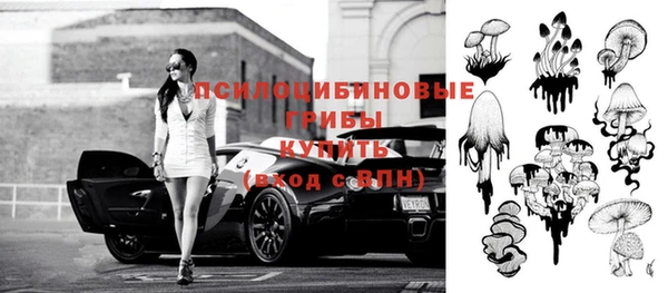 сатива Арсеньев