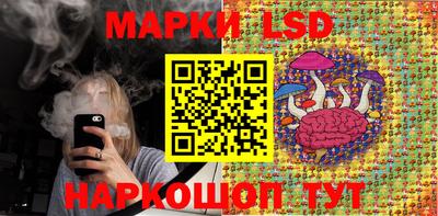 прущие грибы Апшеронск