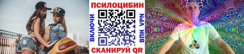 где купить наркотик  Белорецк  Галлюциногенные грибы Psilocybine cubensis 