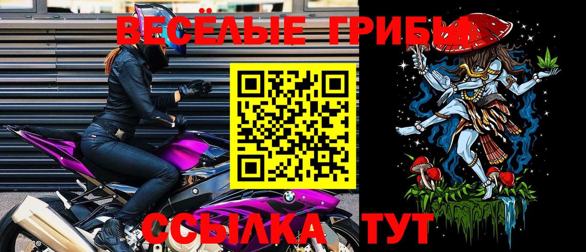 Псилоцибиновые грибы Psilocybe  Белорецк 