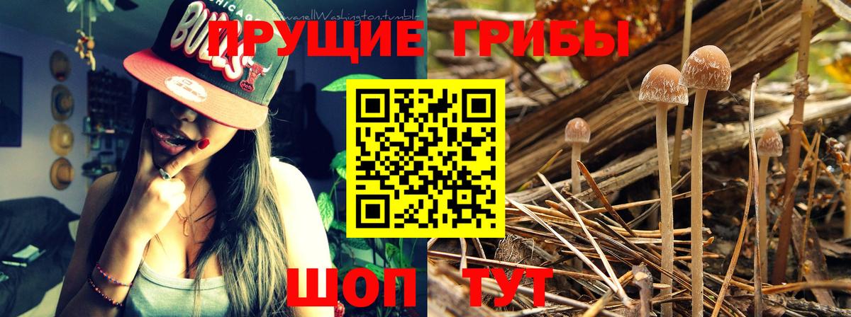 Бошки Шишки  Метадон  Белорецк  Гашиш  Вход с VPN  Мефедрон кристаллы  LSD-25 