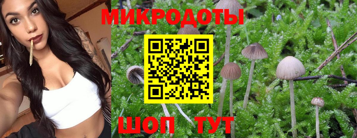 Белорецк  Псилоцибиновые грибы Magic Shrooms  Вход с VPN  Псилоцибиновые грибы Psilocybe 