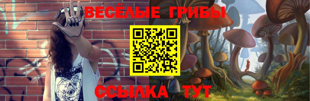 Псилоцибиновые грибы мухоморы Белорецк