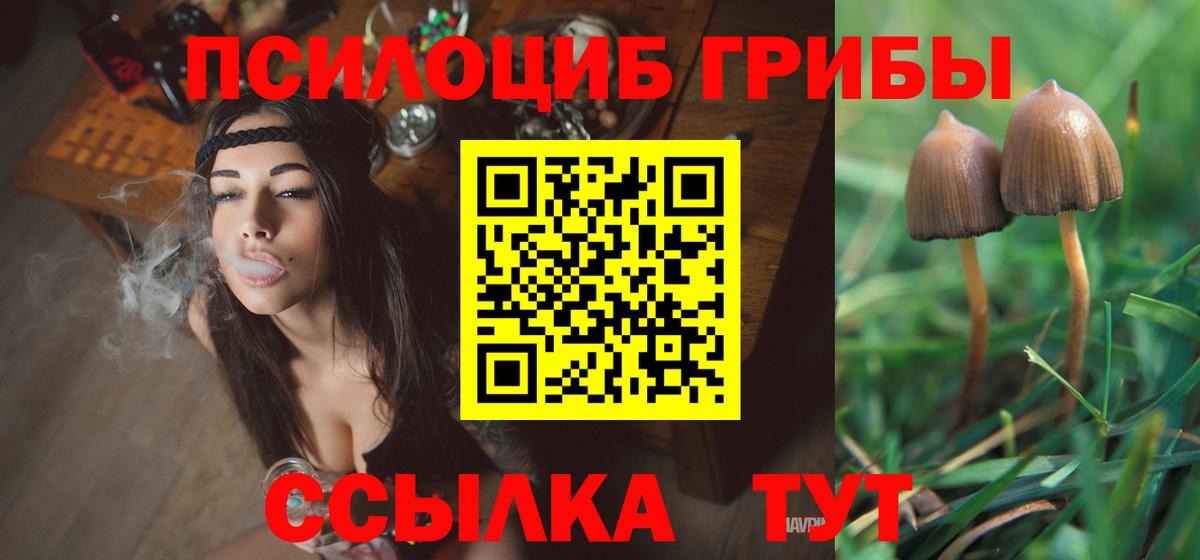 Галлюциногенные грибы Psilocybe Белорецк